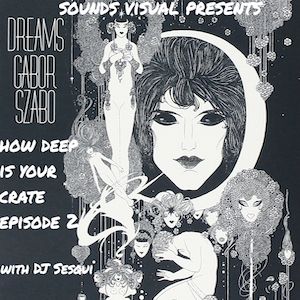 Sounds Visual Radio Presents: How Deep Is Your Crate, Episode 2 with DJ Sesqui